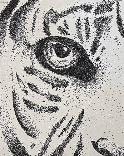 Creative Design : Hadley Smitkin